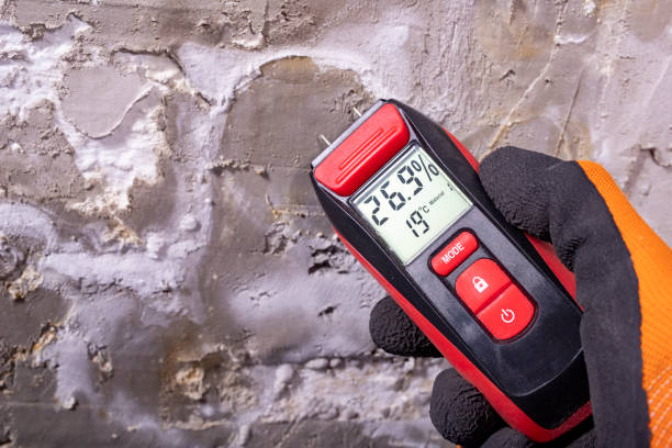 Best Residential Mold Removal  in Orem, UT